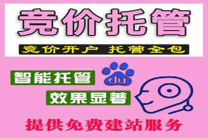 如何在sem竞价托管中取得卓越效果——案例解读